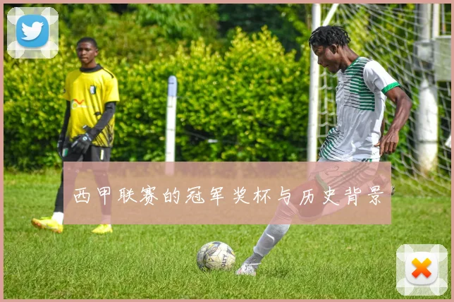 西甲联赛的冠军奖杯与历史背景